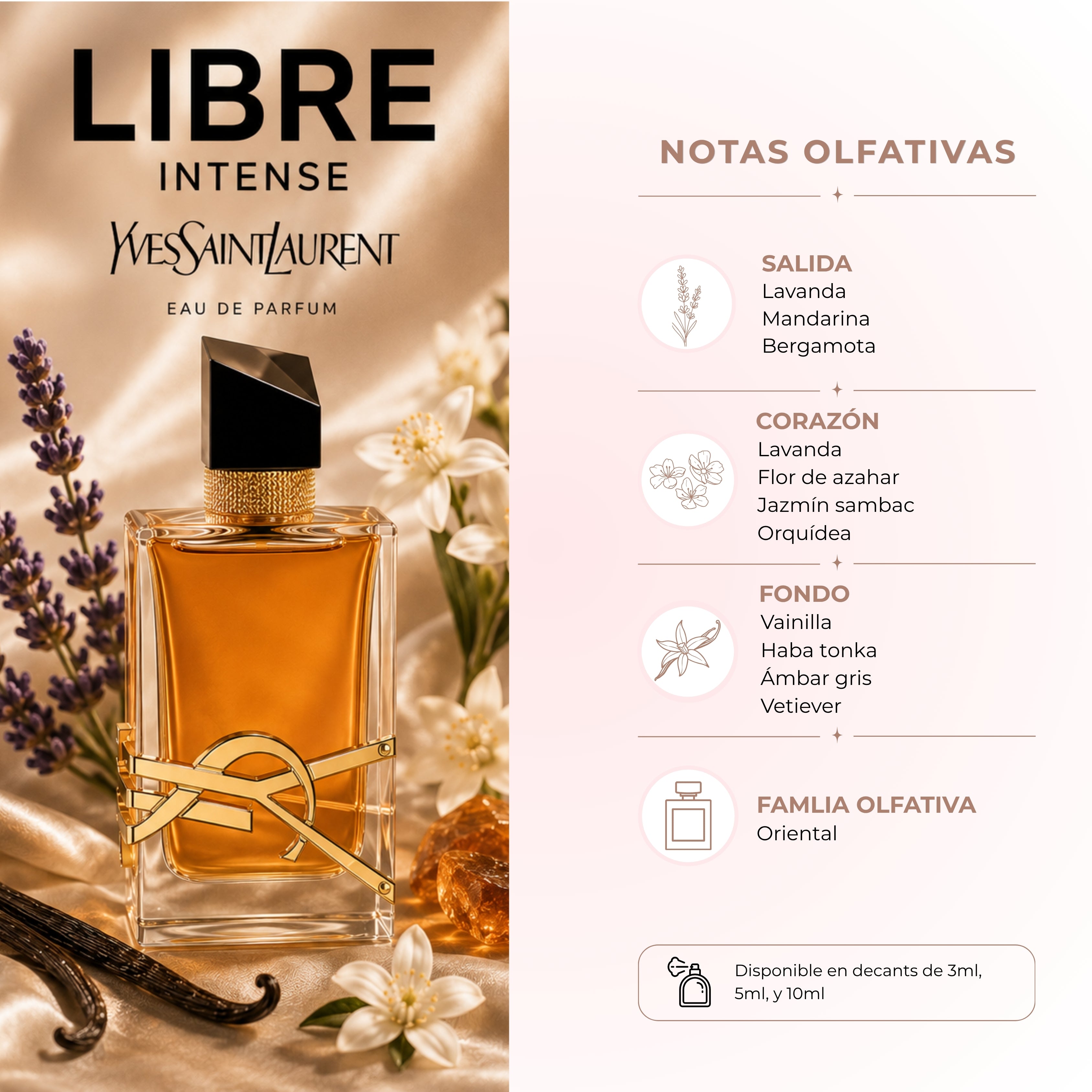 LIBRE INTENSE - Yves Saint Laurent