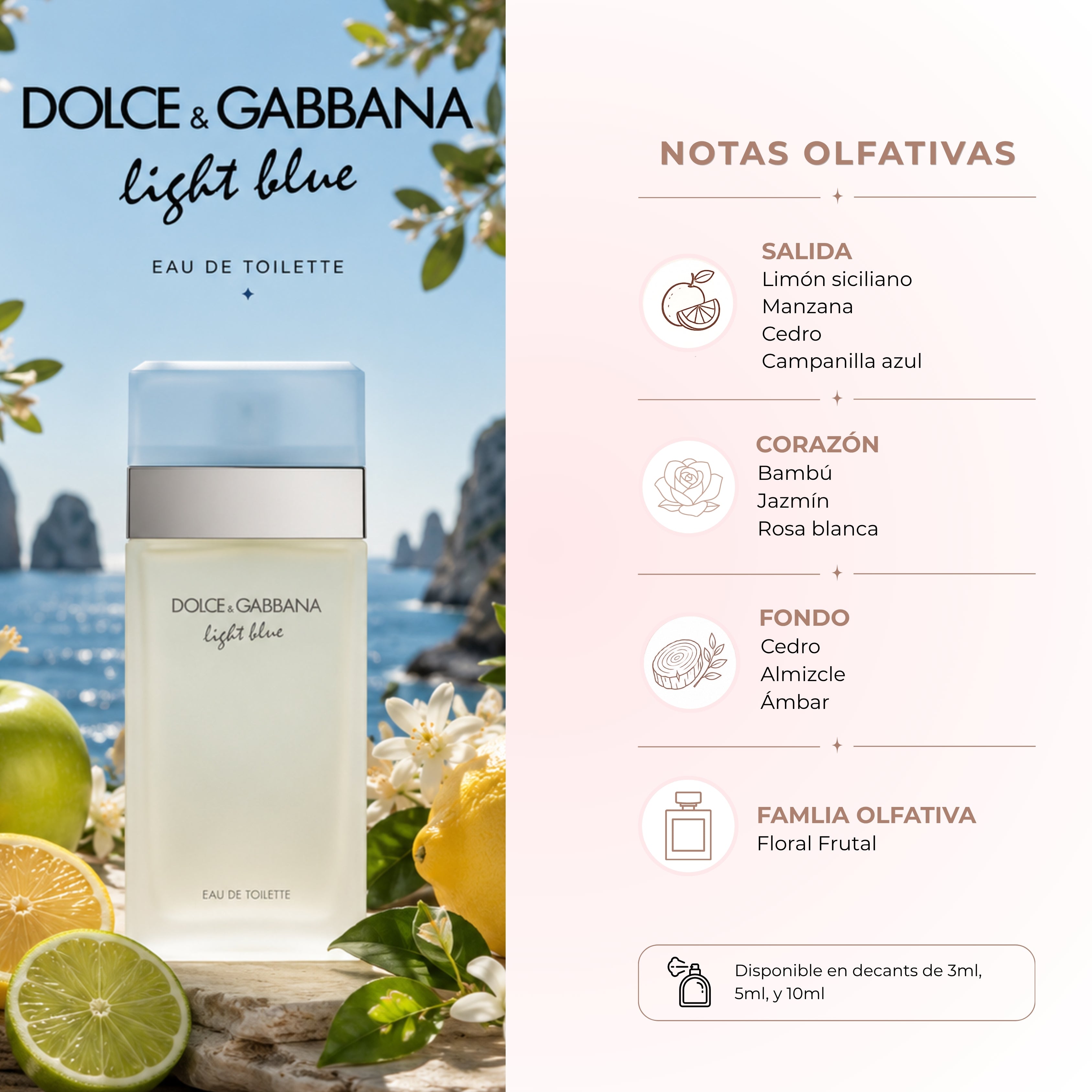 LIGHT BLUE EDT - Dolce & Gabbana